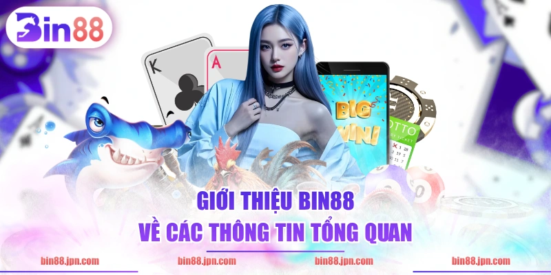 Giới thiệu BIN88 về các thông tin tổng quan 