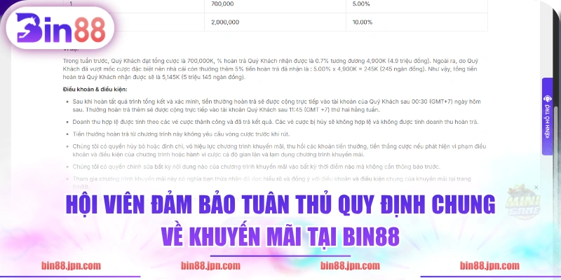 Hội viên đảm bảo tuân thủ quy định chung về khuyến mãi tại BIN88
